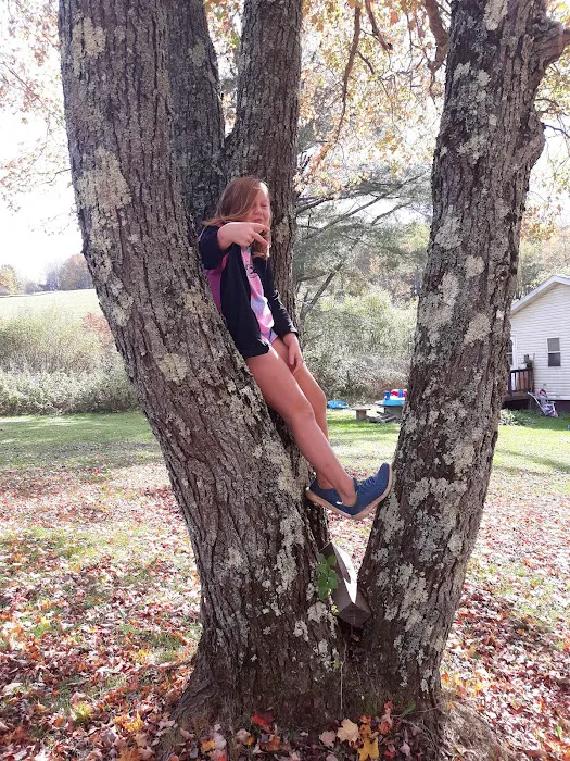 East Sidney Dam Recreation Area 5