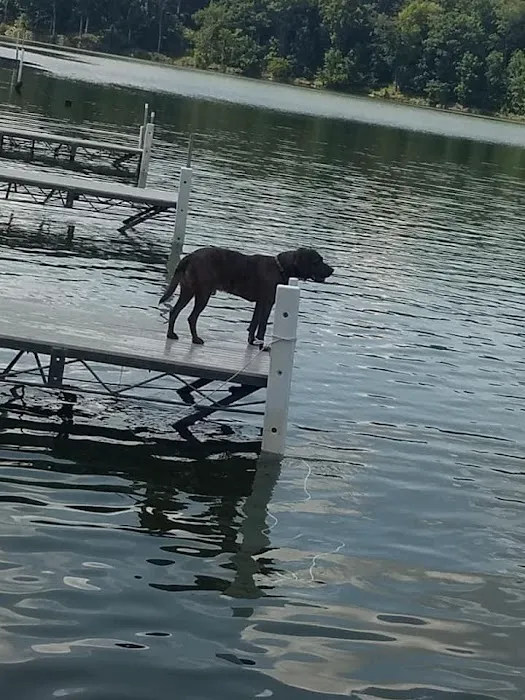 East Sidney Dam Recreation Area 2