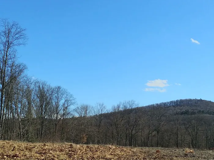 Mountainview Mobile Home Park 7