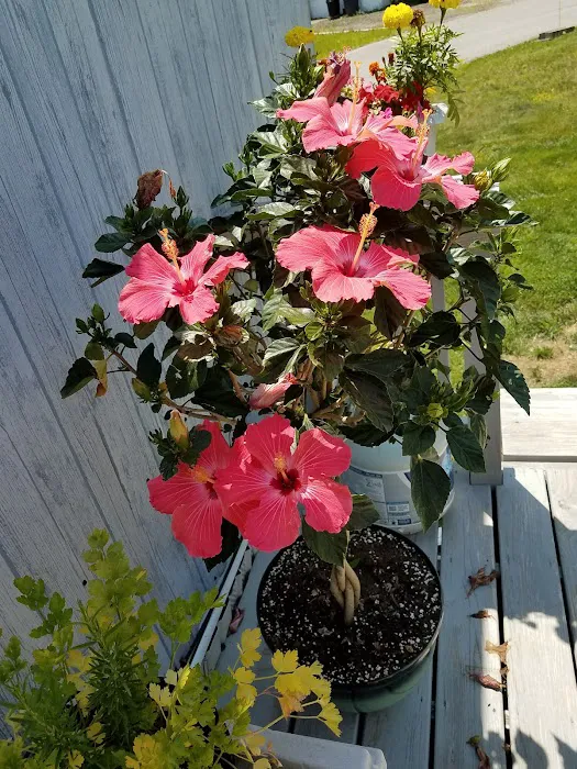 Mountainview Mobile Home Park 6