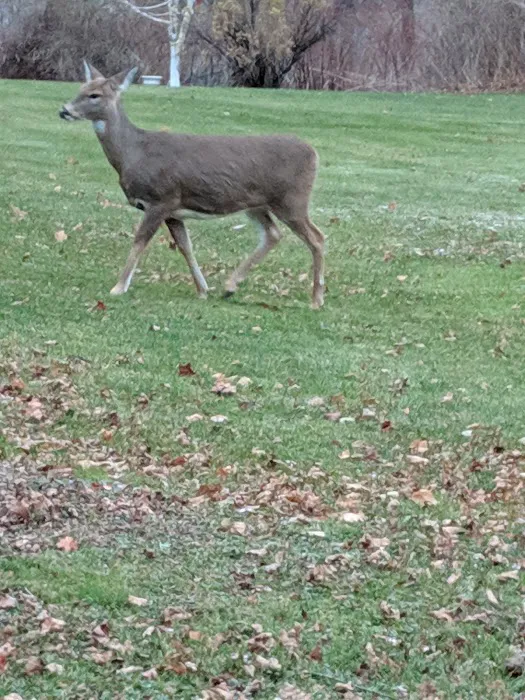 Lantern Hill Mobile Home Park 9