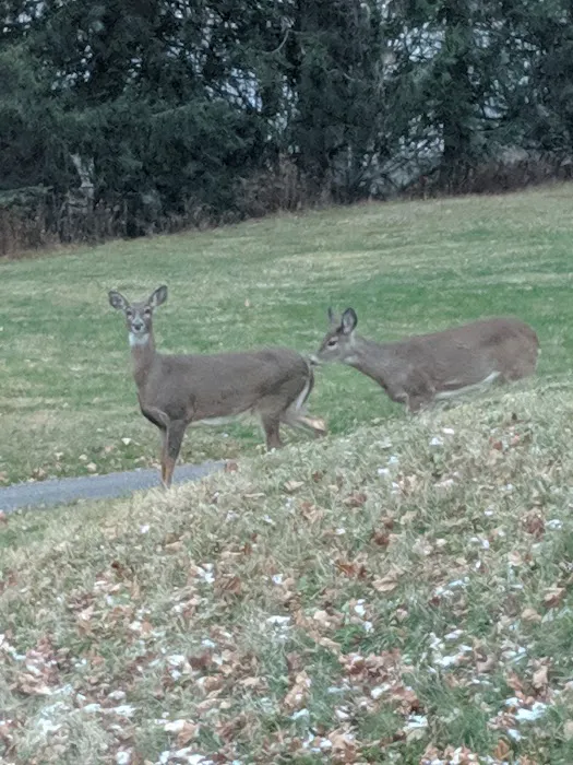 Lantern Hill Mobile Home Park 4