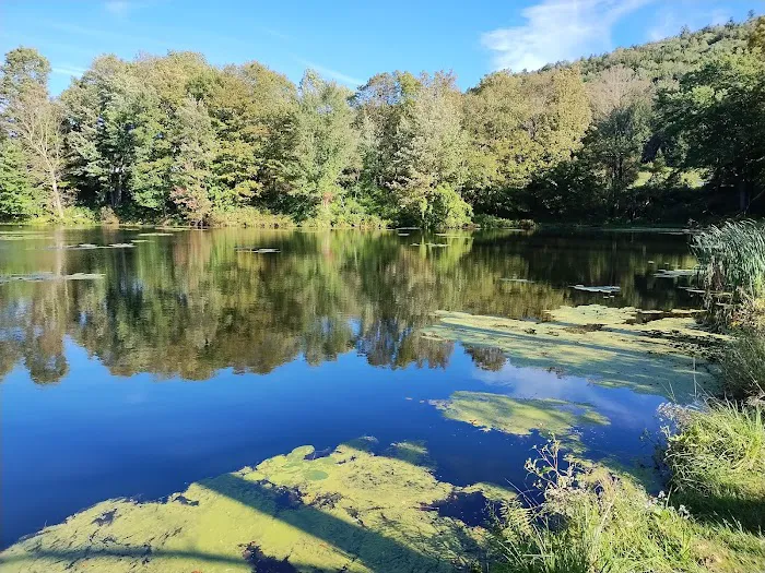 Crazy Acres Campground at Beaver Spring Lake 6