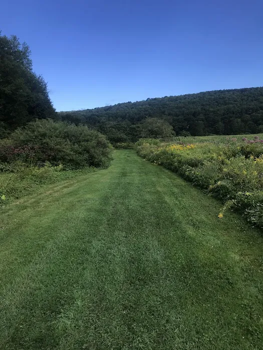 Crazy Acres Campground at Beaver Spring Lake 7