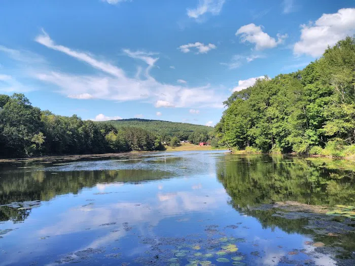 Crazy Acres Campground at Beaver Spring Lake 5