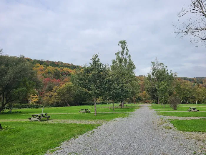 Susquehanna Trail Campground Oneonta NY 8