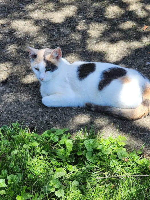 Valley Stream Mobile Home Park 7