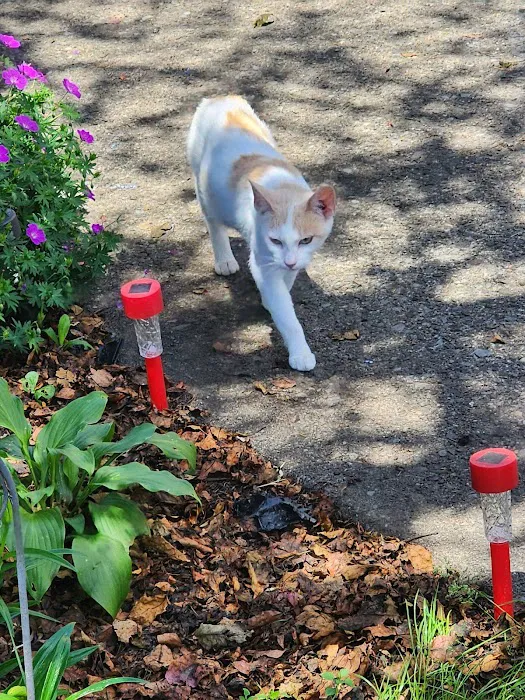 Valley Stream Mobile Home Park 5