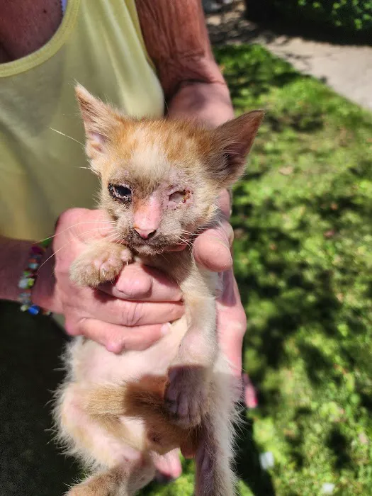 Valley Stream Mobile Home Park 6