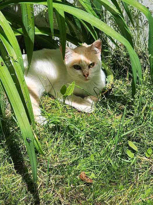 Valley Stream Mobile Home Park 9