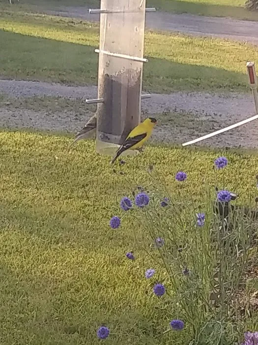 Brookside Mobile Home Park managed by Helderberg Property Company 4