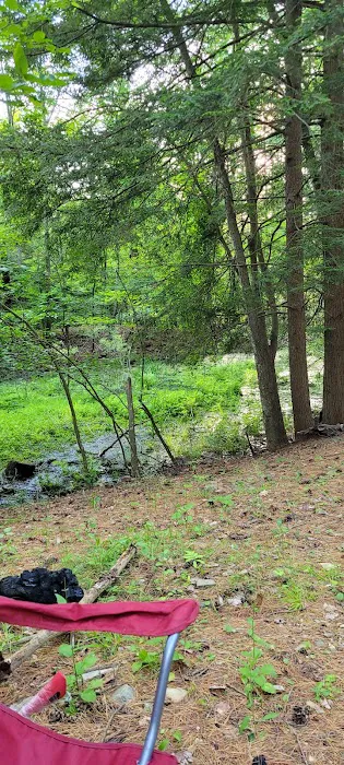 Waterfalls Campsite 5