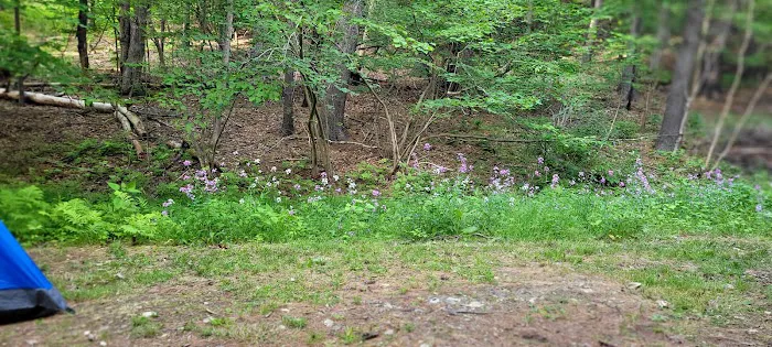 Waterfalls Campsite 0