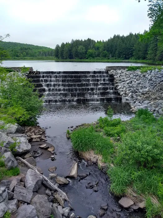 Lincoln Pond Cottage 3