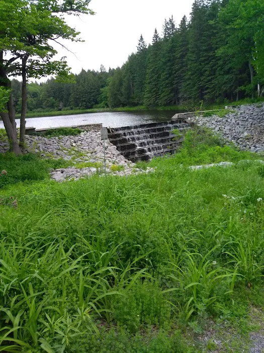 Lincoln Pond Cottage 4