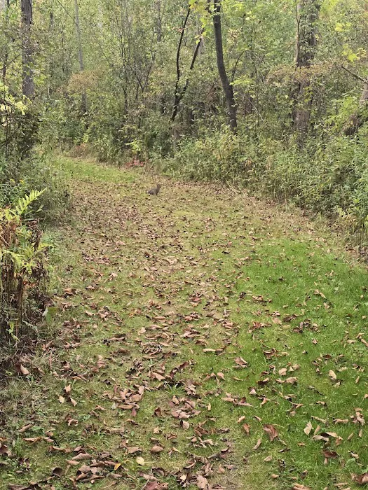 Hide-A-Way Campsites 6