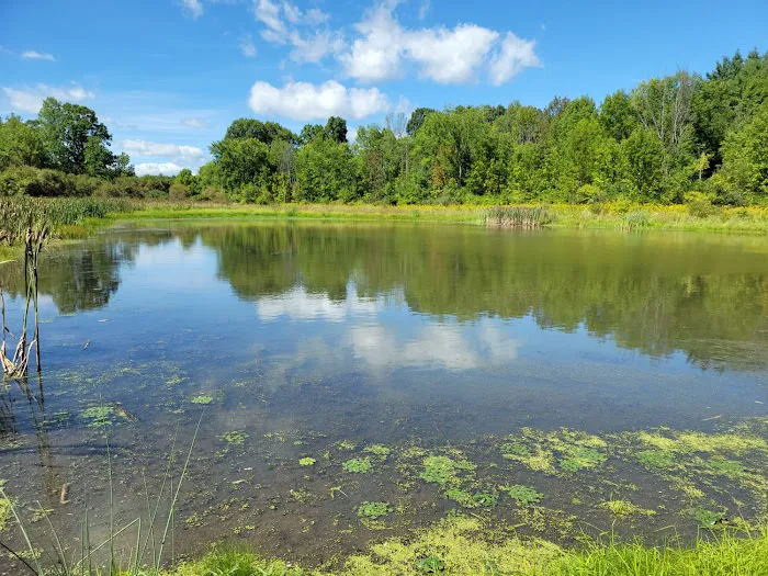 Hide-A-Way Campsites 8