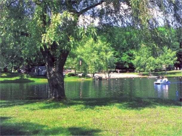 Spacious Skies Campgrounds - Woodland Hills 0