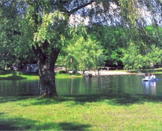 Spacious Skies Campgrounds - Woodland Hills