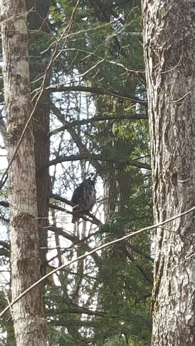 Kinyon's Canyon Campsites 7