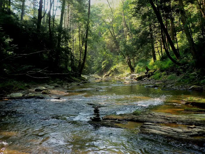 Otter Creek Campground 4