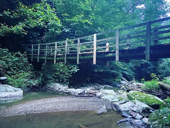 Otter Creek Campground 7