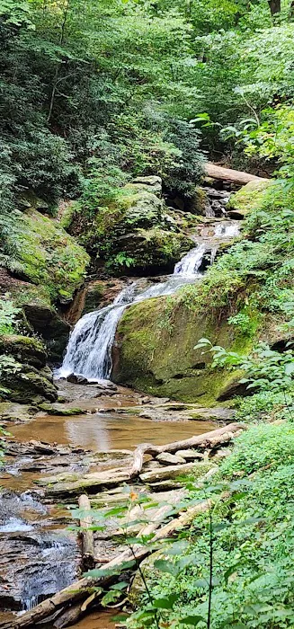 Mill Creek Falls Retreat Center 6