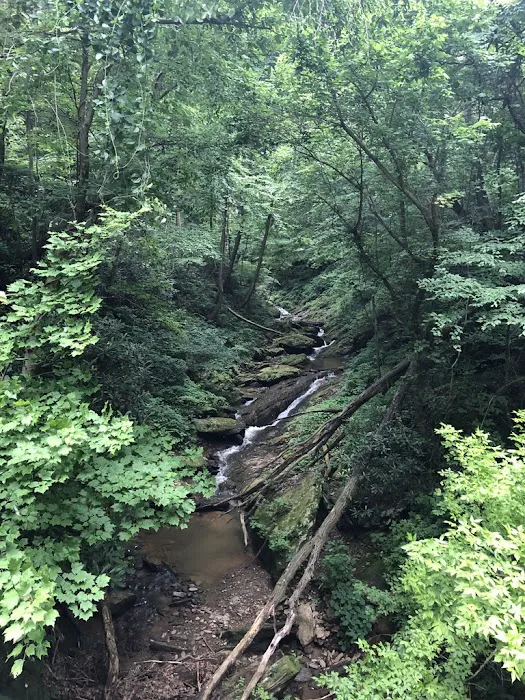 Mill Creek Falls Retreat Center 4