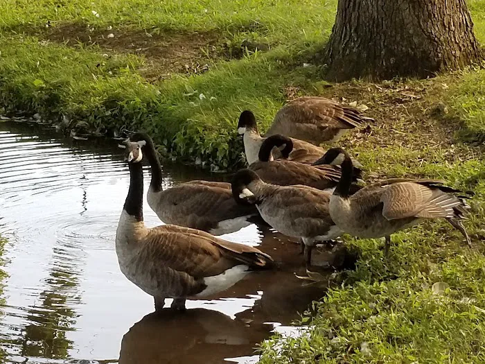 Thousand Trails Campground 7