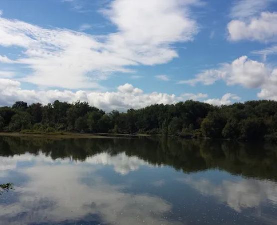 Stiely's Rivershore Campground