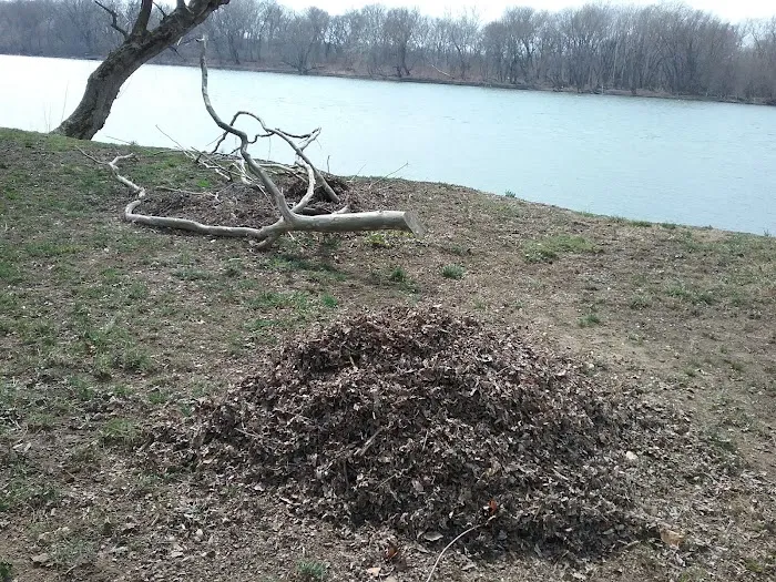 Stiely's Rivershore Campground 8