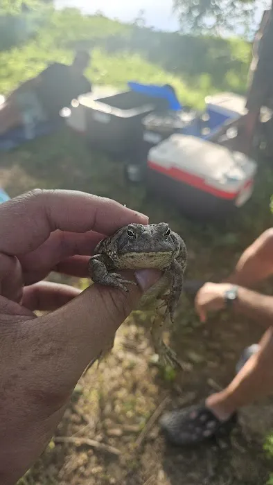 SRTA Island Campsite 111 9