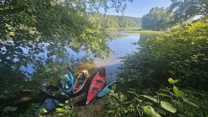 SRTA Island Campsite 111 6
