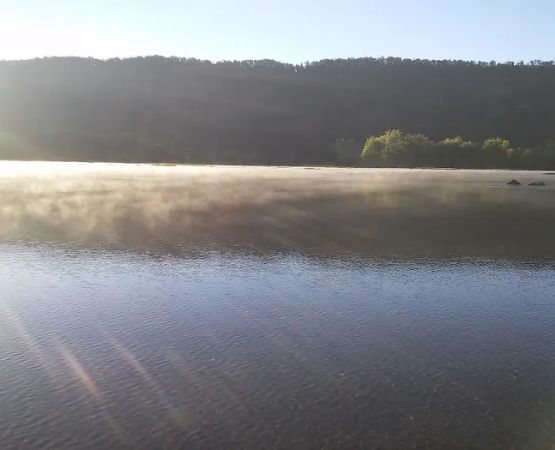 Dressler's Campsites