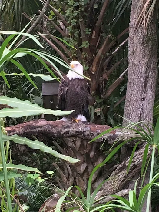 Camp Catherine Hershey 5