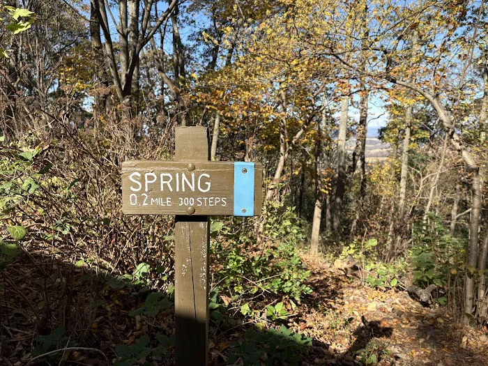 Peter's Mountain Shelter 6