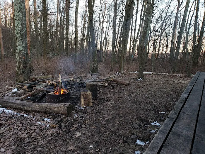Peter's Mountain Shelter 3