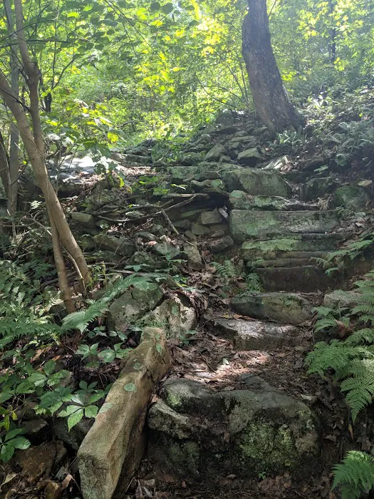 Peter's Mountain Shelter 4