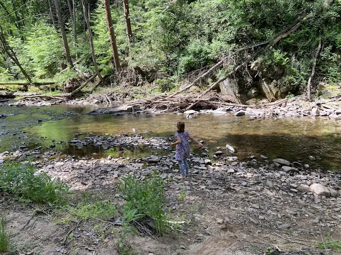 Lakeview Campground- Camp Hebron 2