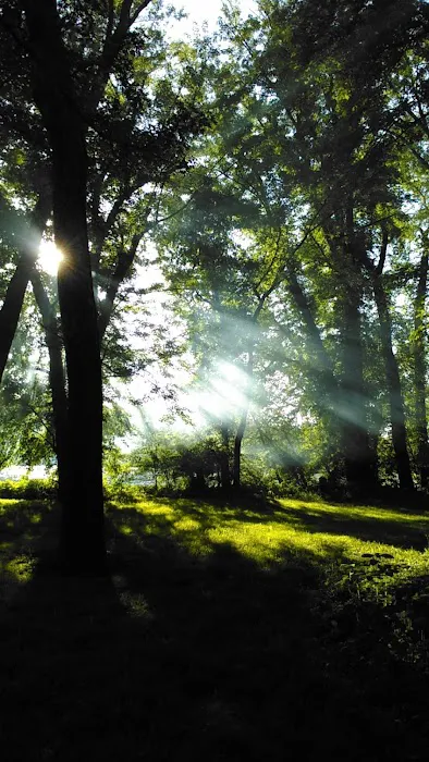 North River Campsite (SRTA) 1