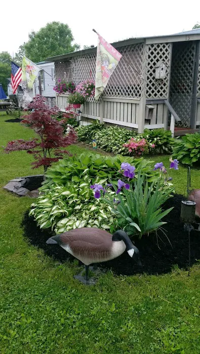 The Meadows at Watsontown, LLC 3