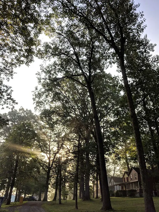 Central Oak Heights 7