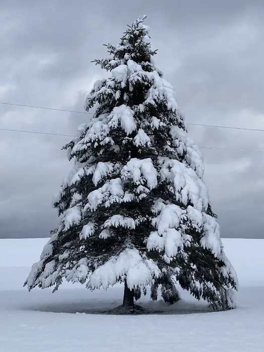Falling Waters Campground home of Buttermilk Falls 6