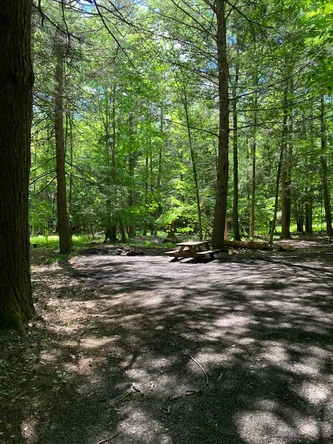 Falling Waters Campground home of Buttermilk Falls 9
