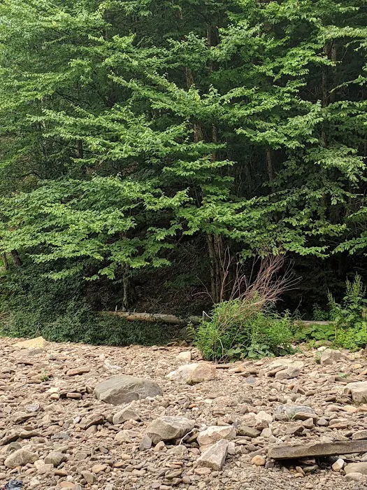 Masten Camping Area 6