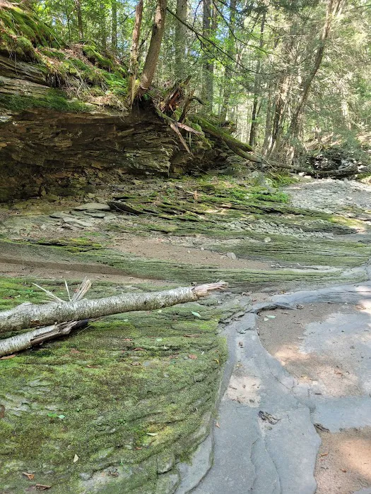 Masten Camping Area 8