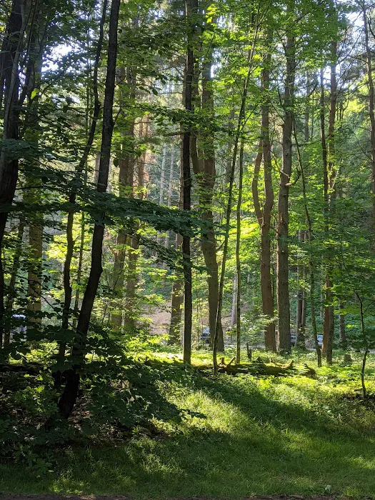 Masten Camping Area 5