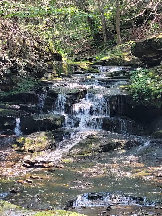 Masten Camping Area 9