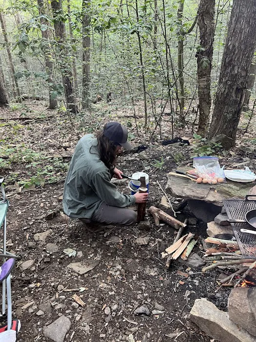 Loyalsock State Forest campsite #360 7