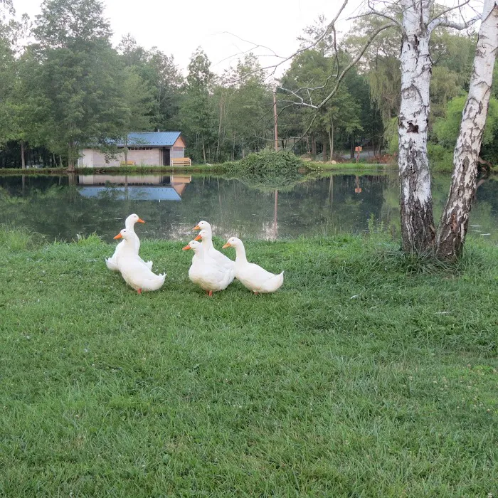 Hidden Creek Campground 5